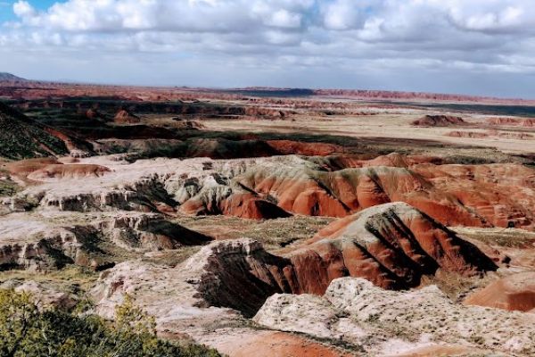 Petrified Forest National Park